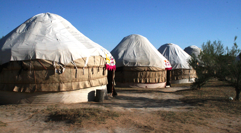 Yurtcamp "Safari"